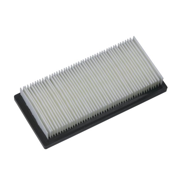 Cartucho filtro para AS 300 EMAC / AS 300 ELAC